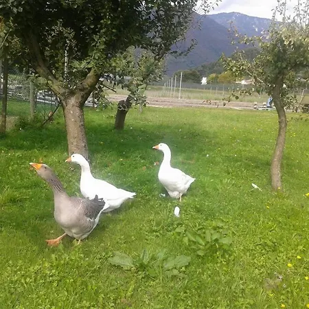 Agriturismo La Bella Follina