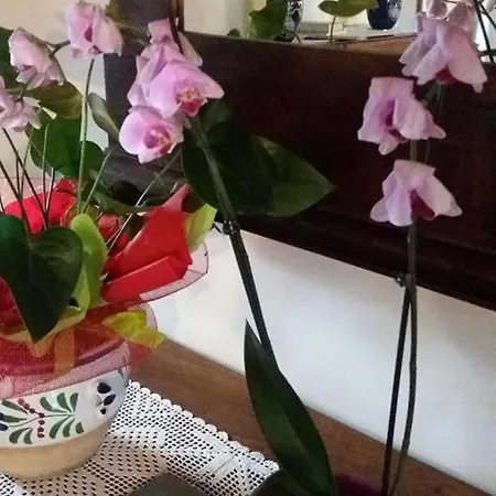 Agriturismo La Bella Alloggio per agriturismo