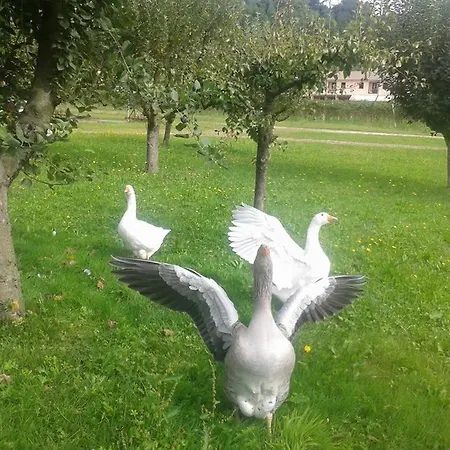 Agriturismo La Bella *